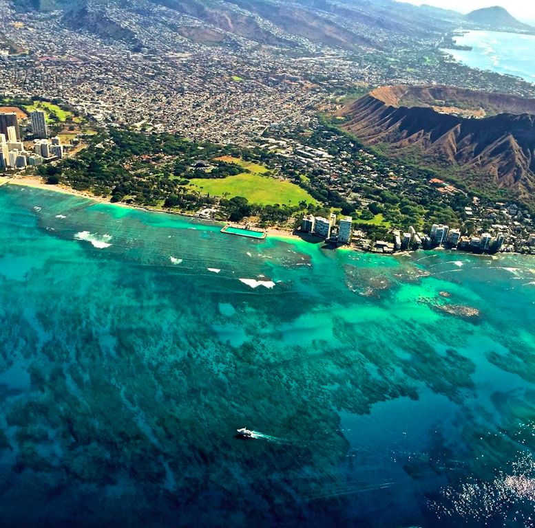 Waikiki reefs.jpg