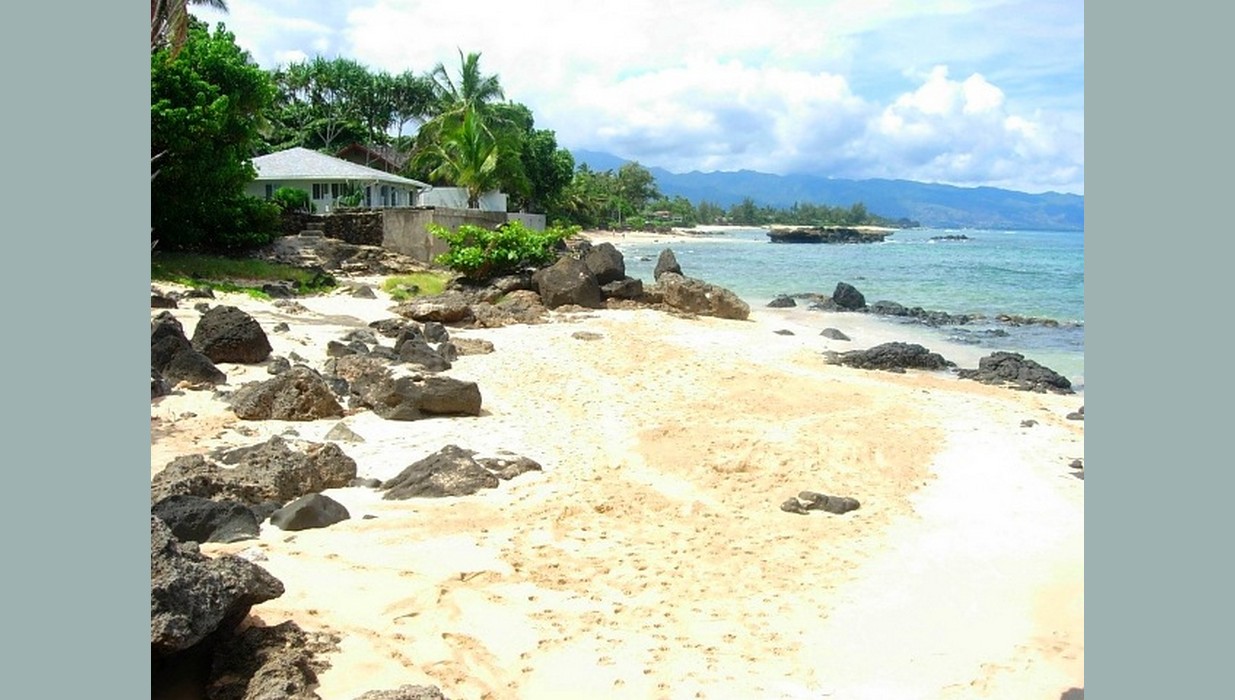 Turtle Cove Beachfront Rental Hawaiian Ocean Front